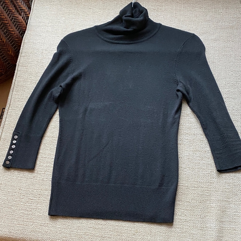 Elegant Black Express Fitted Turtleneck Sweater